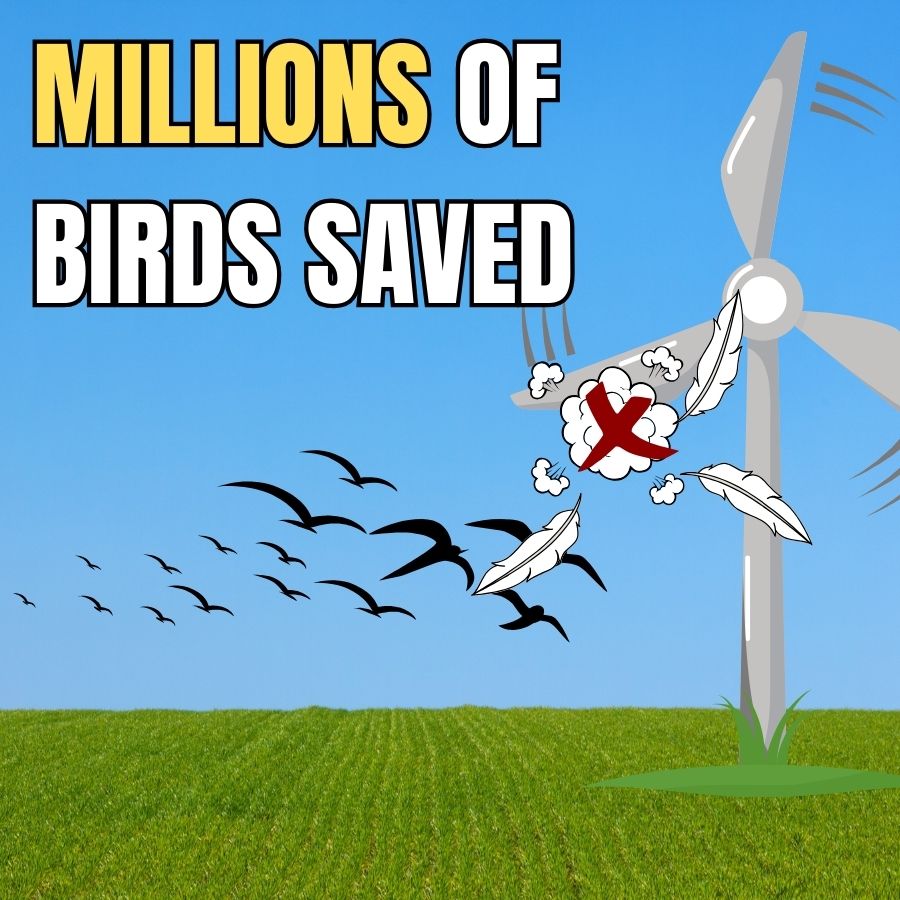 text reads Millions of birds saves, shows a wind turine with birds flying into it