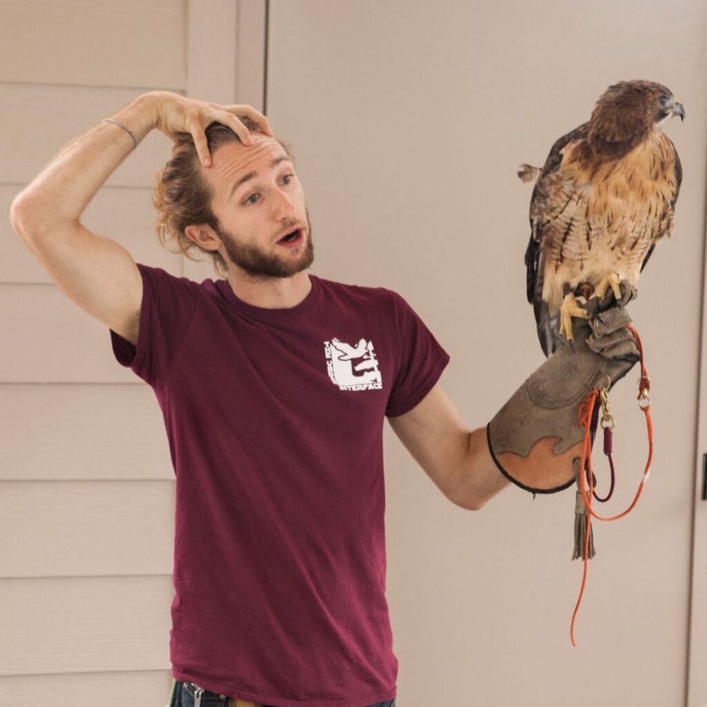 photo of dillon holding a red tailed hawk at an event. He is grabbing his head with his hand