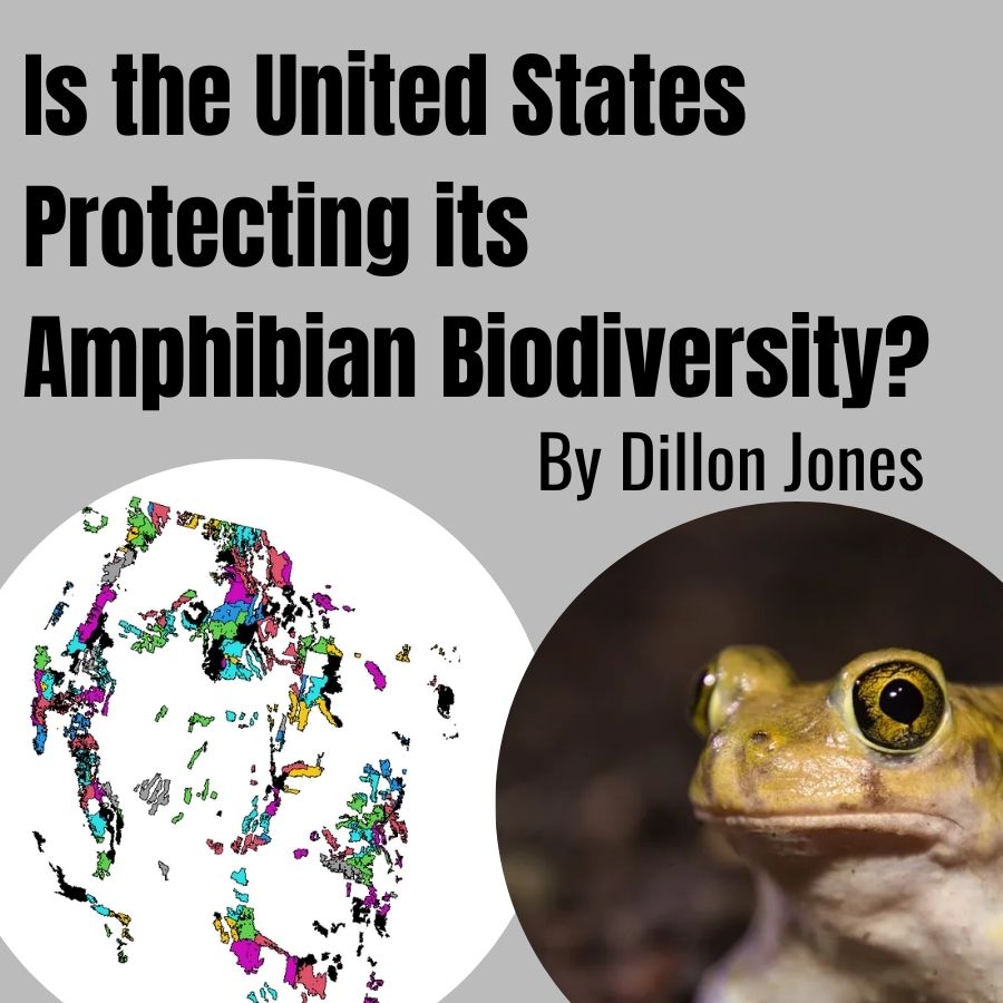 Text reads Is the United States Protecting its Amphibian Biodiversity. 2 images of the protected areas of the united states and a toad are shown